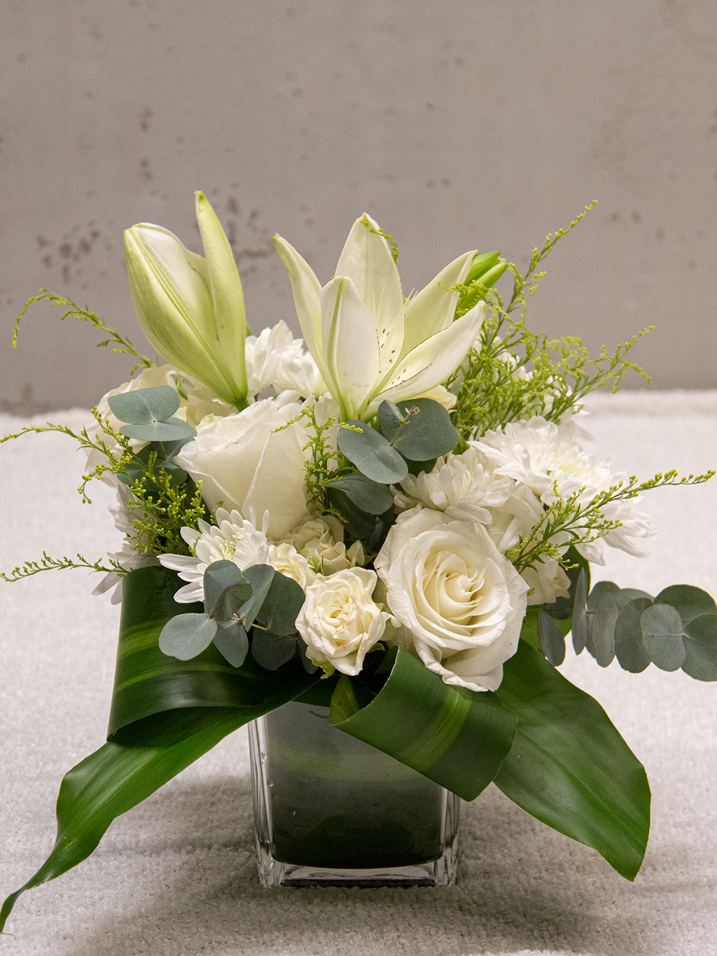 Portfolio Image